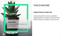 Free presentation  nature template