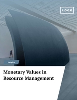 Free report – resource management template