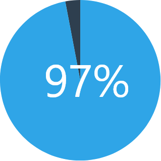 Pie chart 97%