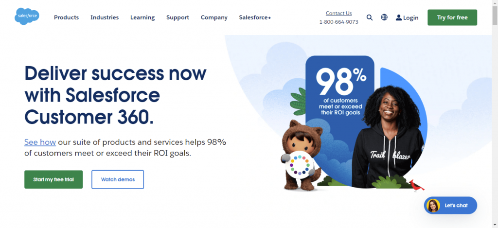 SalesForce Website