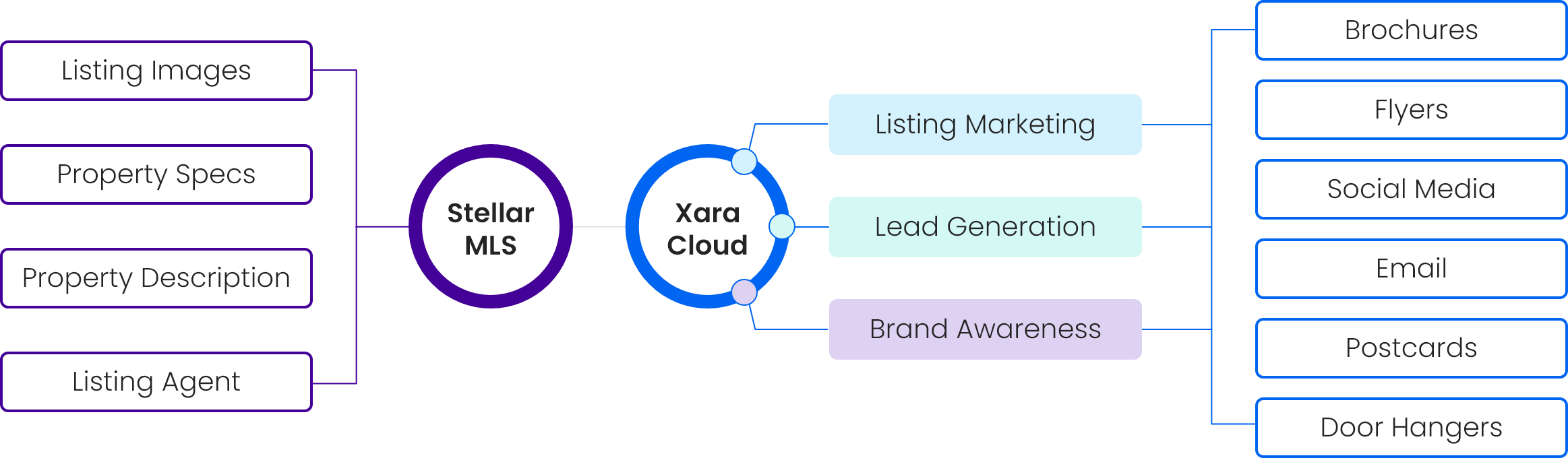 How to Use Xara Cloud with MLS